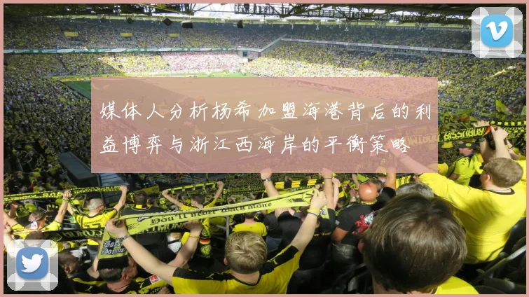 媒体人分析杨希加盟海港背后的利益博弈与浙江西海岸的平衡策略
