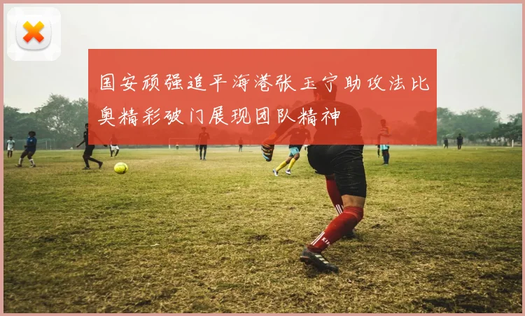 国安顽强追平海港张玉宁助攻法比奥精彩破门展现团队精神